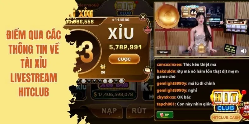 Cách chơi cầu tài xỉu 2-2 chuẩn 100%